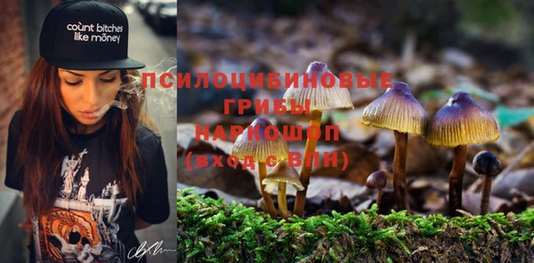 винт Аркадак