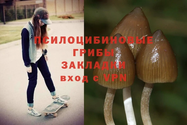 спиды Арсеньев