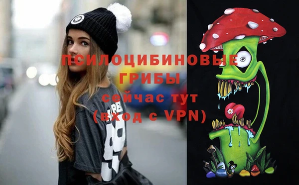 спиды Арсеньев