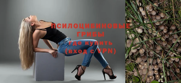 винт Аркадак